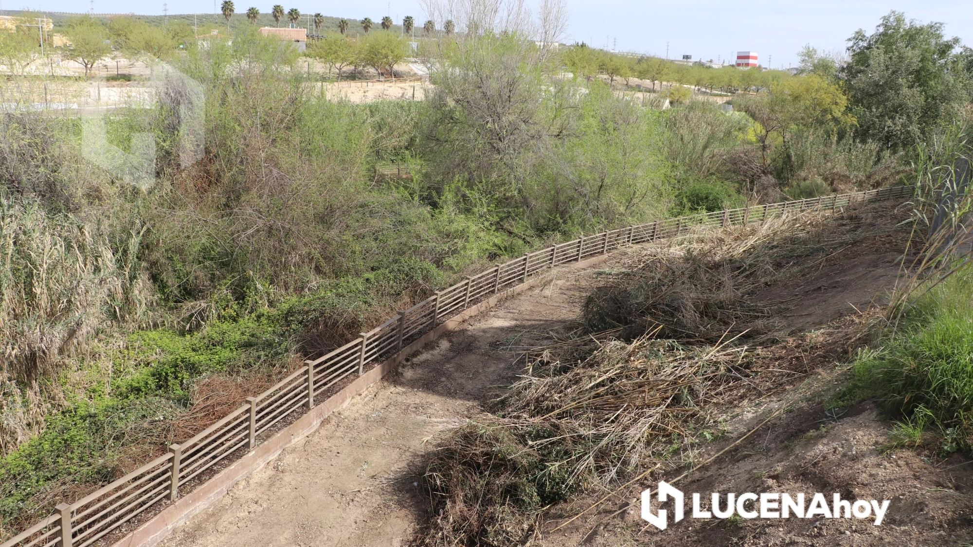 El Ayuntamiento Retoma Los Trabajos De Limpieza En El R O Lucena Y