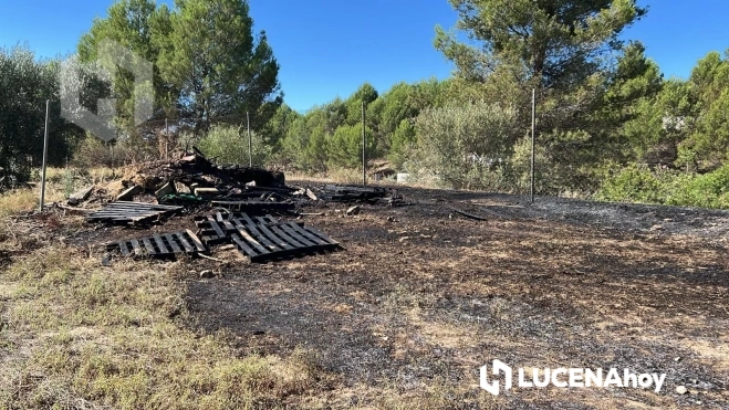 Una vista de los terrenos afectados por este incendio