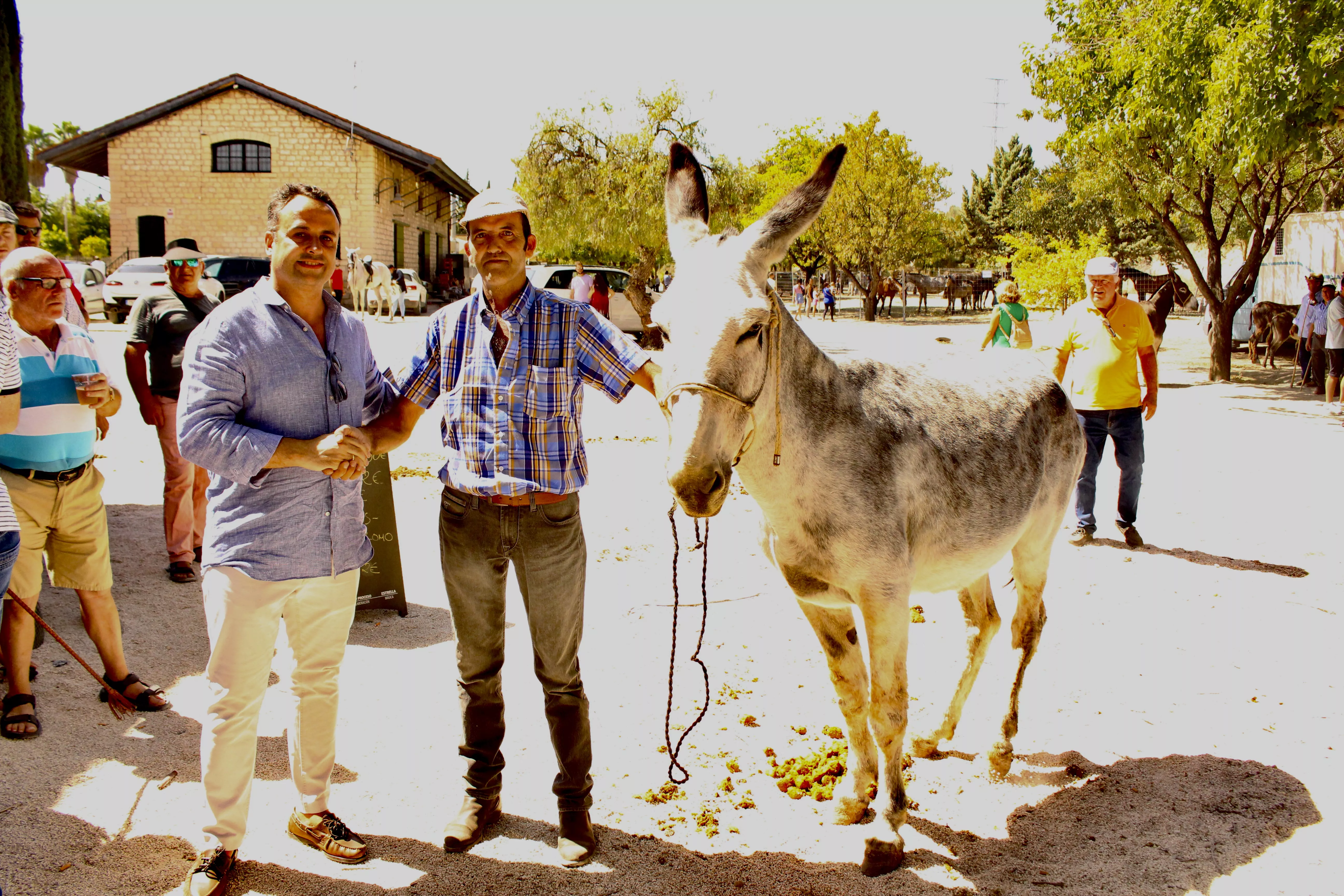 Feria de Ganado. Feria del Valle de Lucena 2024