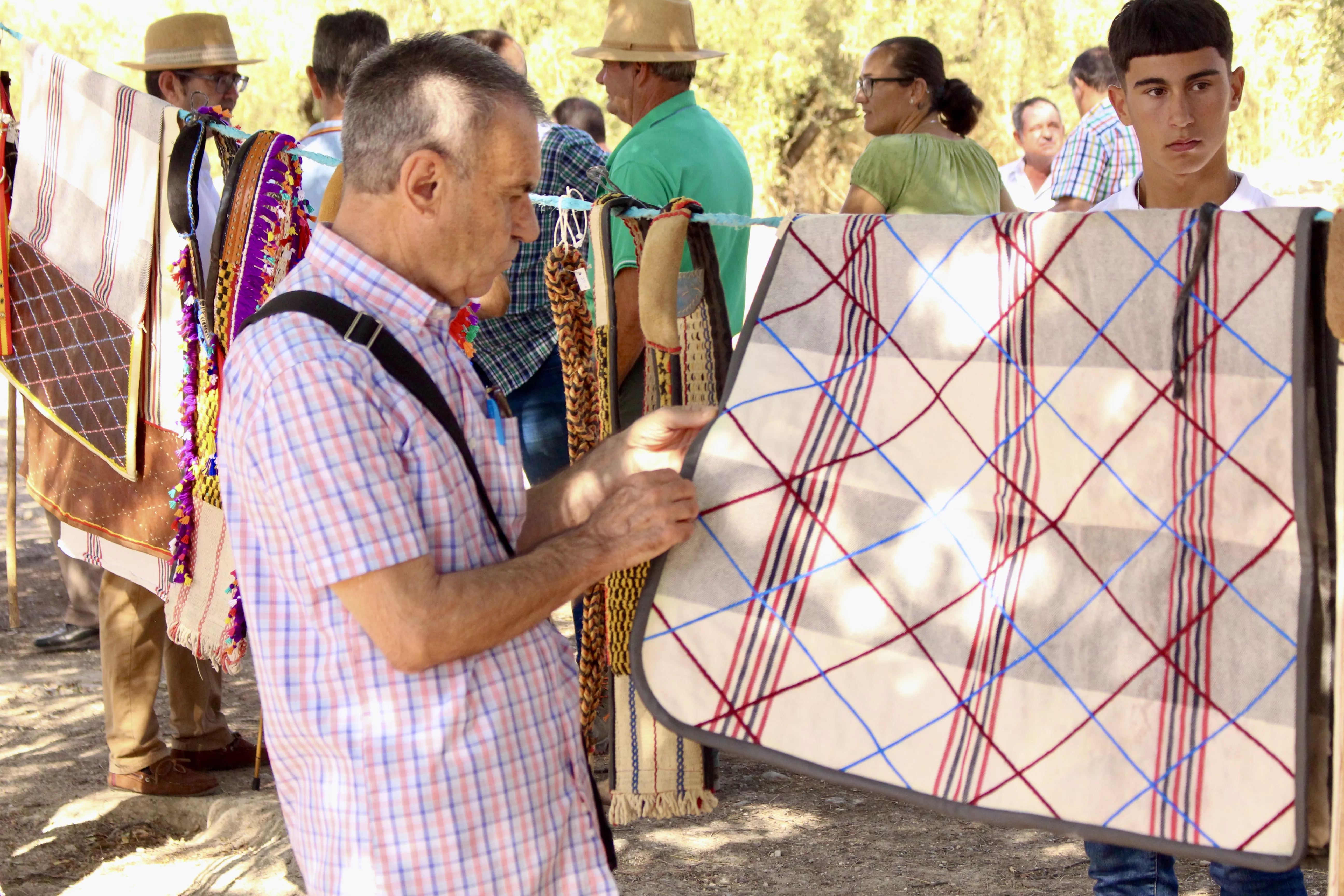 Feria de Ganado. Feria del Valle de Lucena 2024