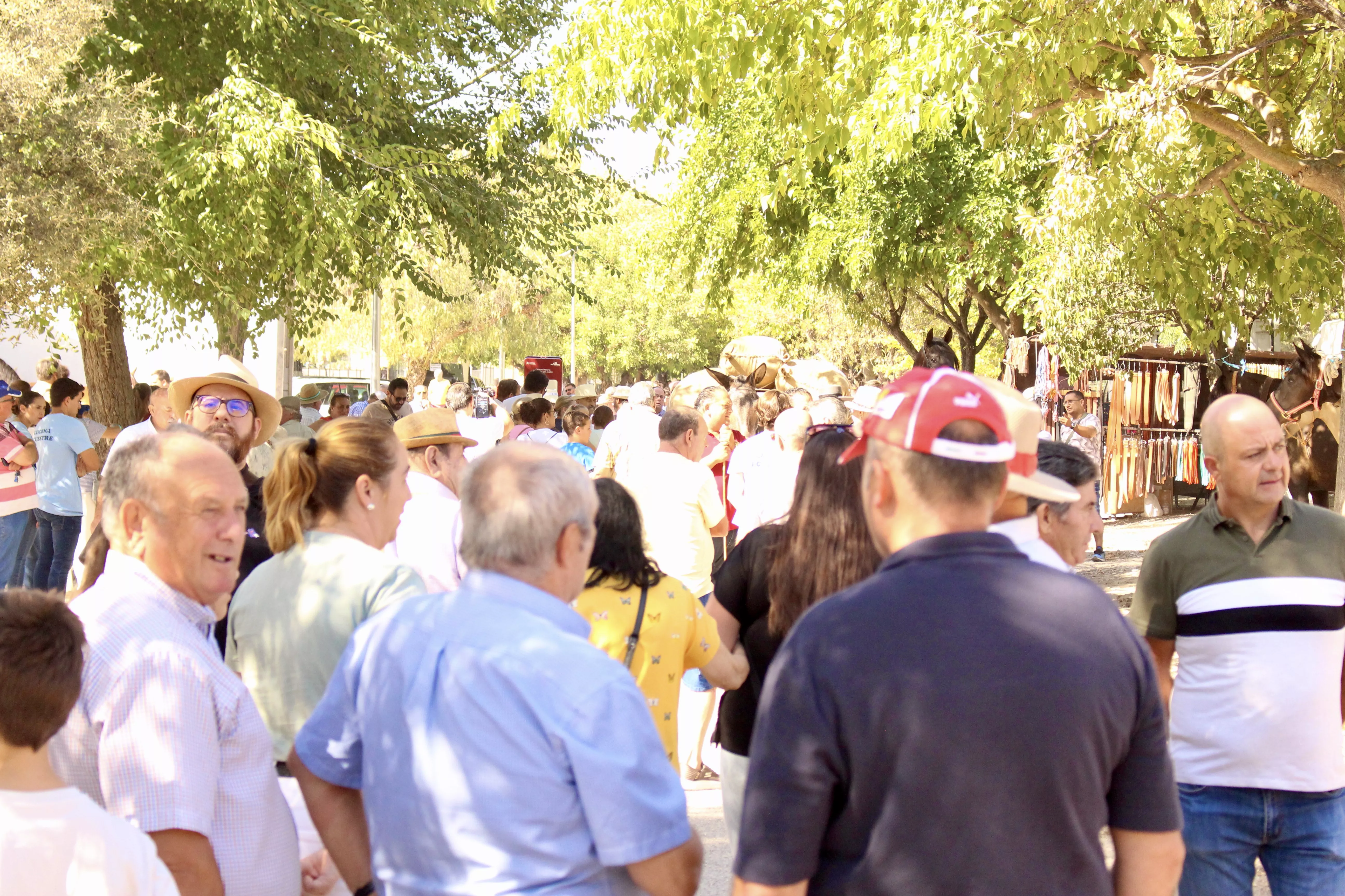 Feria de Ganado. Feria del Valle de Lucena 2024