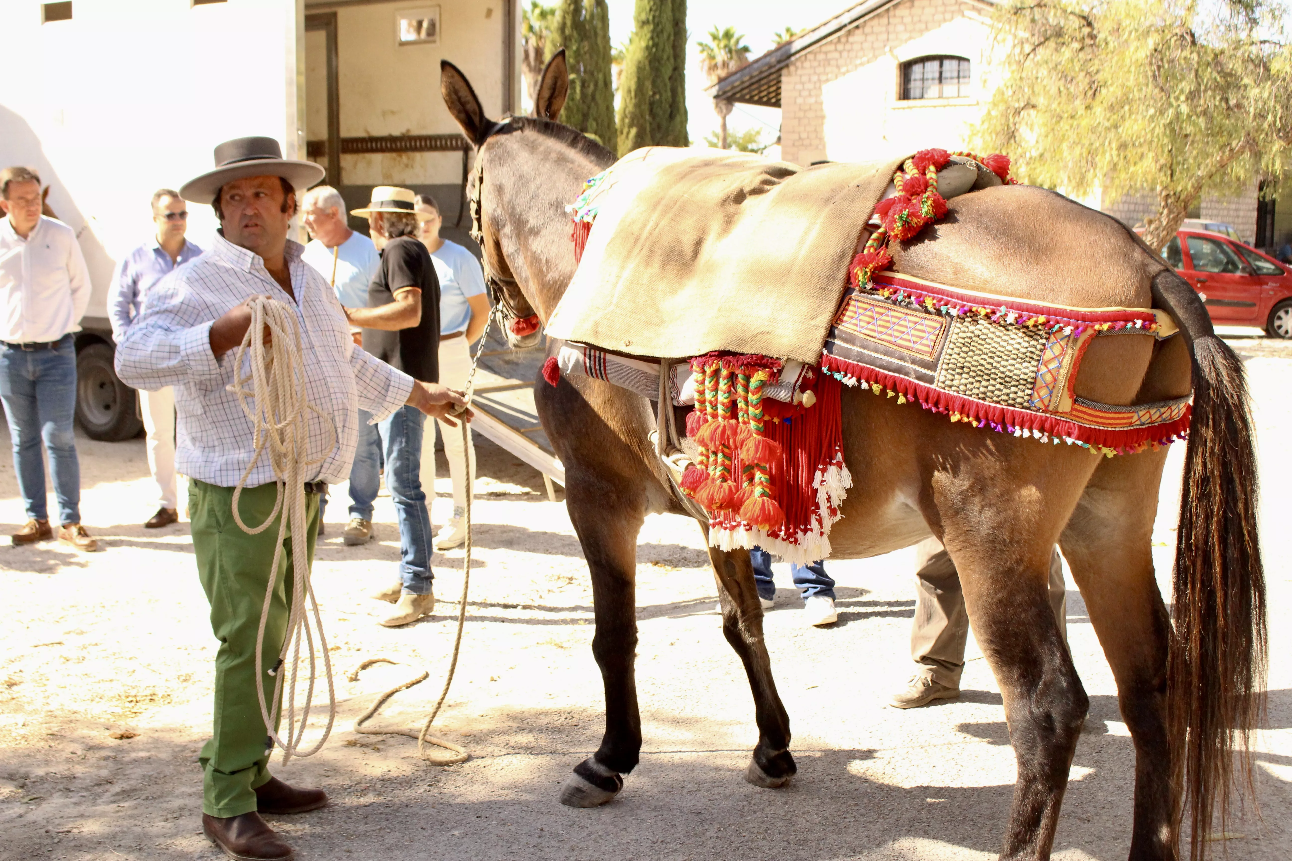 Feria de Ganado. Feria del Valle de Lucena 2024