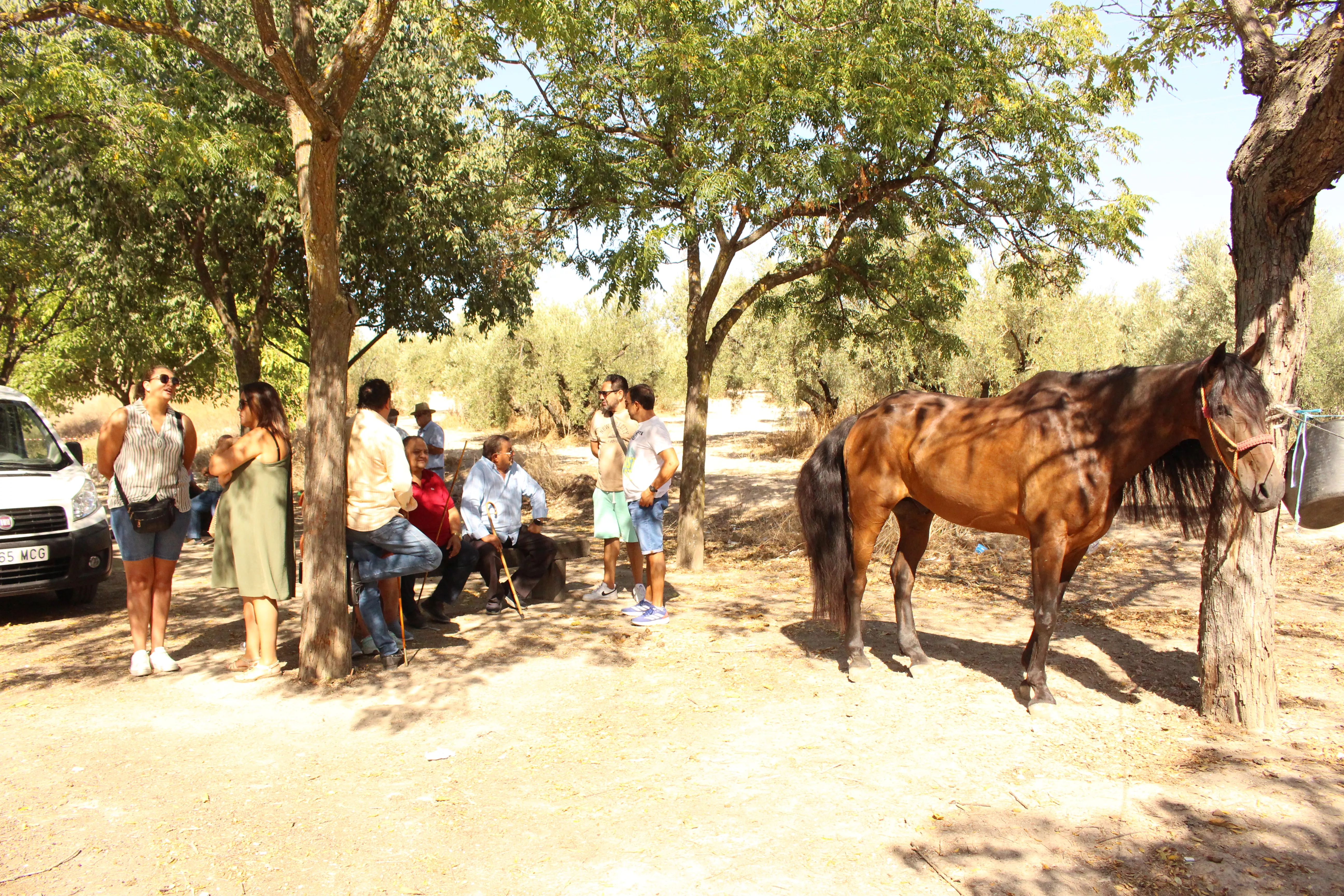 Feria de Ganado. Feria del Valle de Lucena 2024