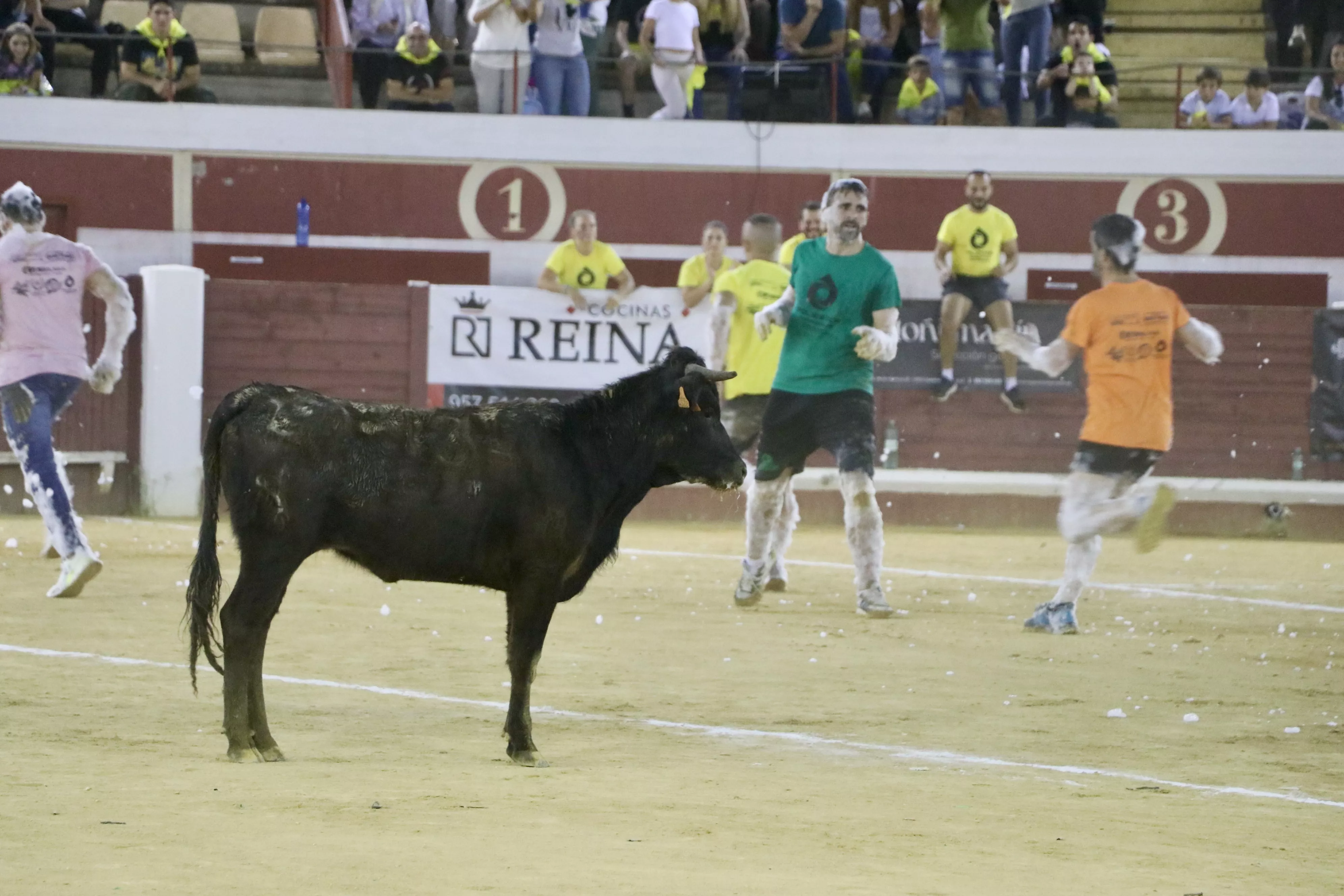 Gran Prix Lucena 2024