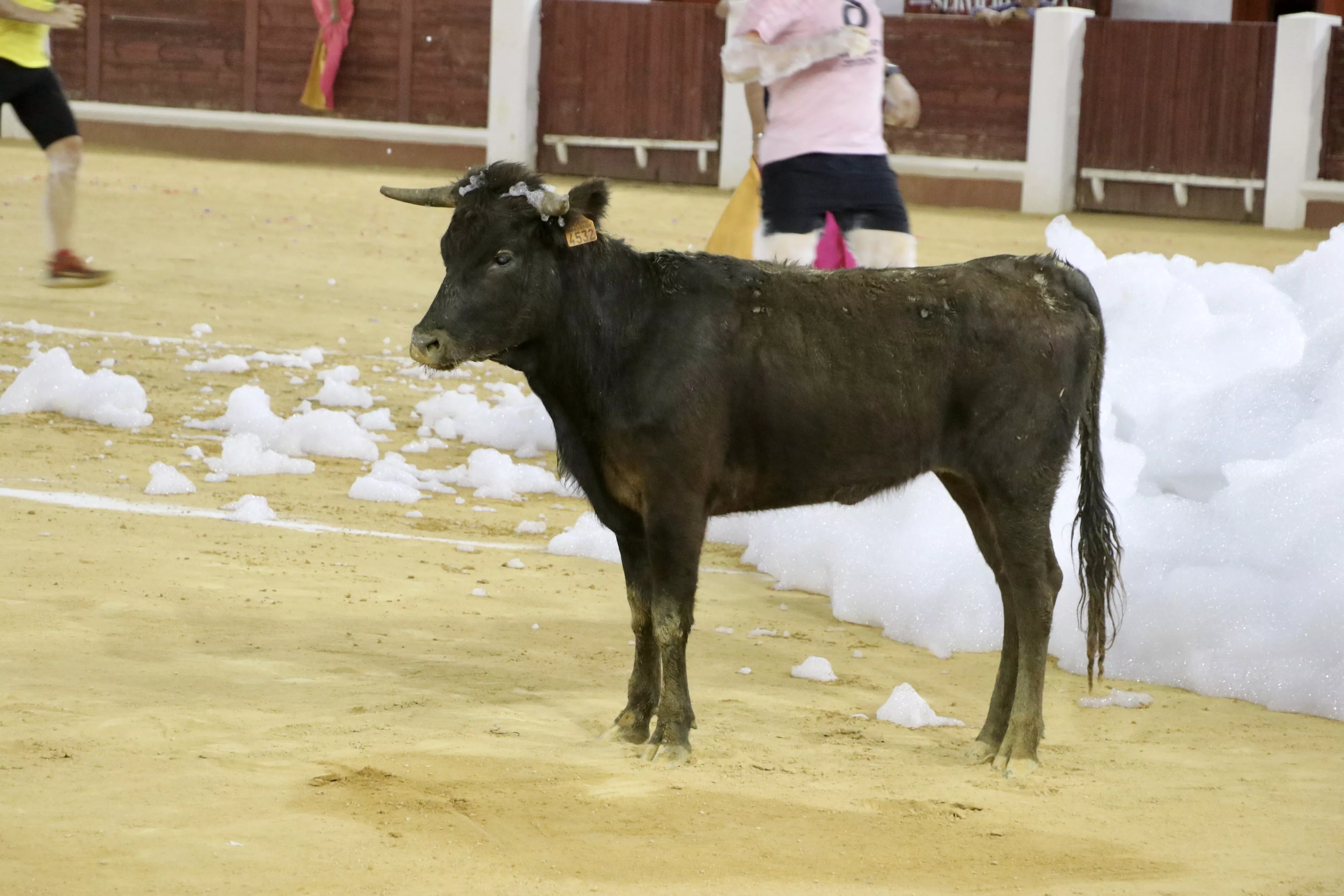 Gran Prix Lucena 2024