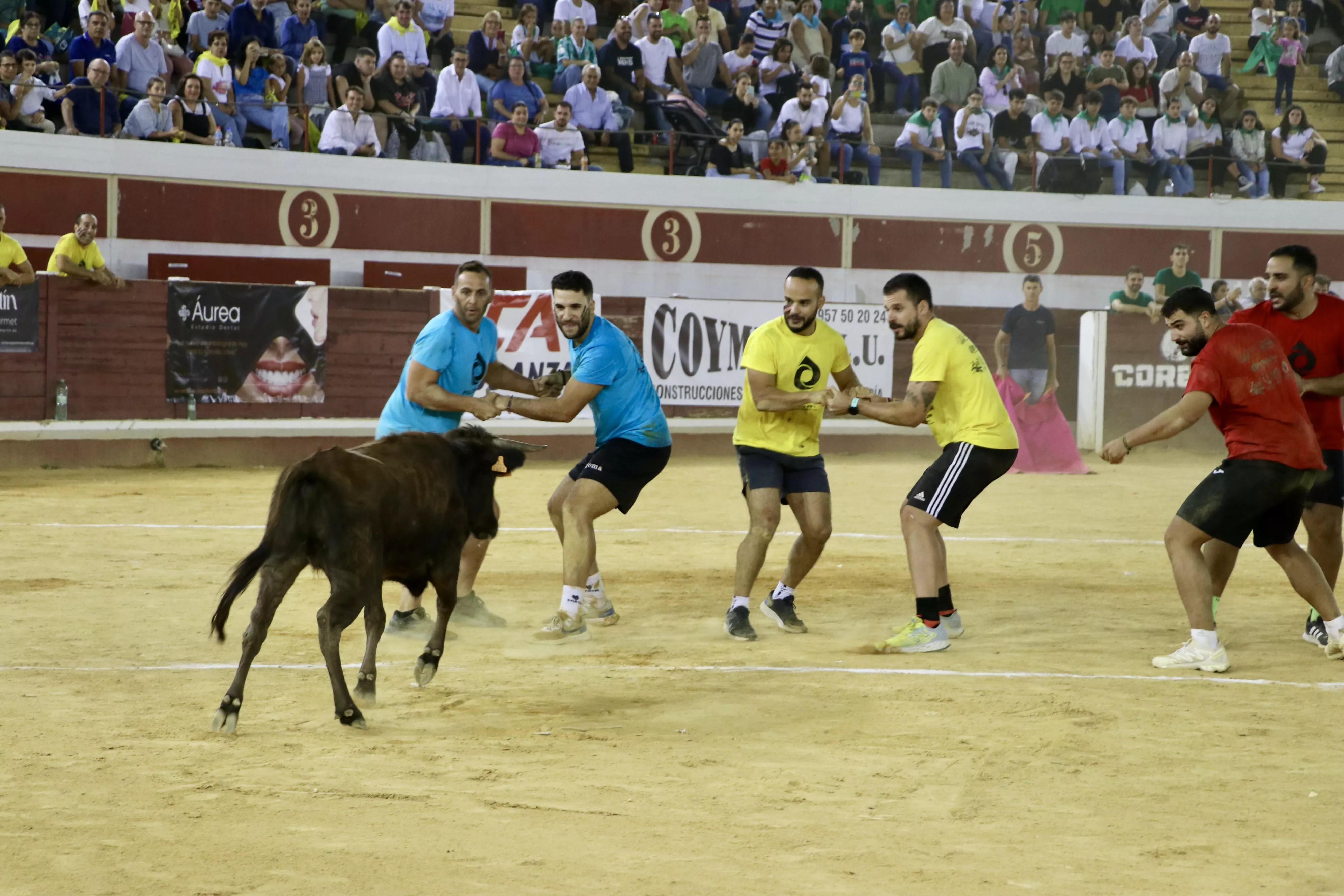 Gran Prix Lucena 2024