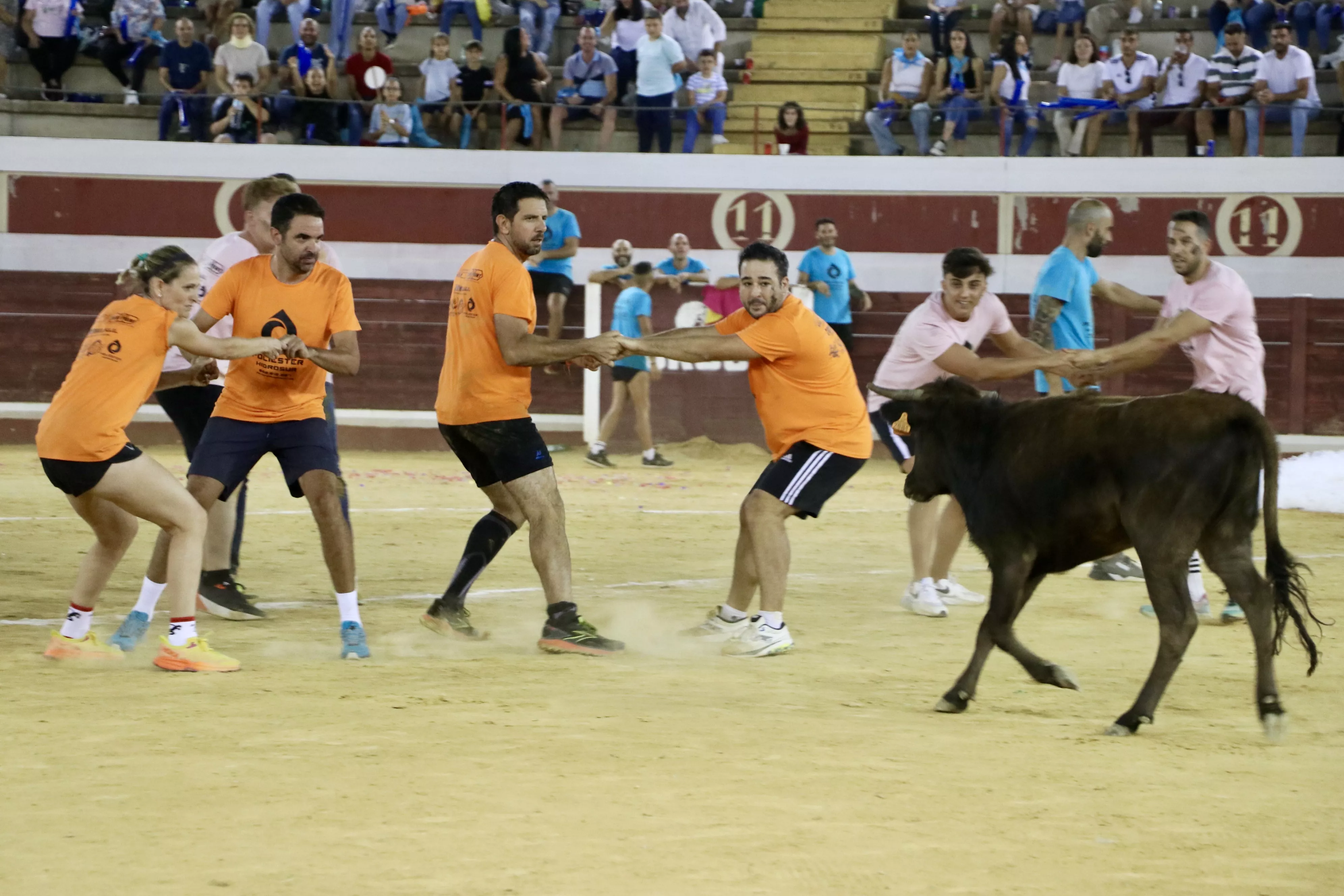 Gran Prix Lucena 2024