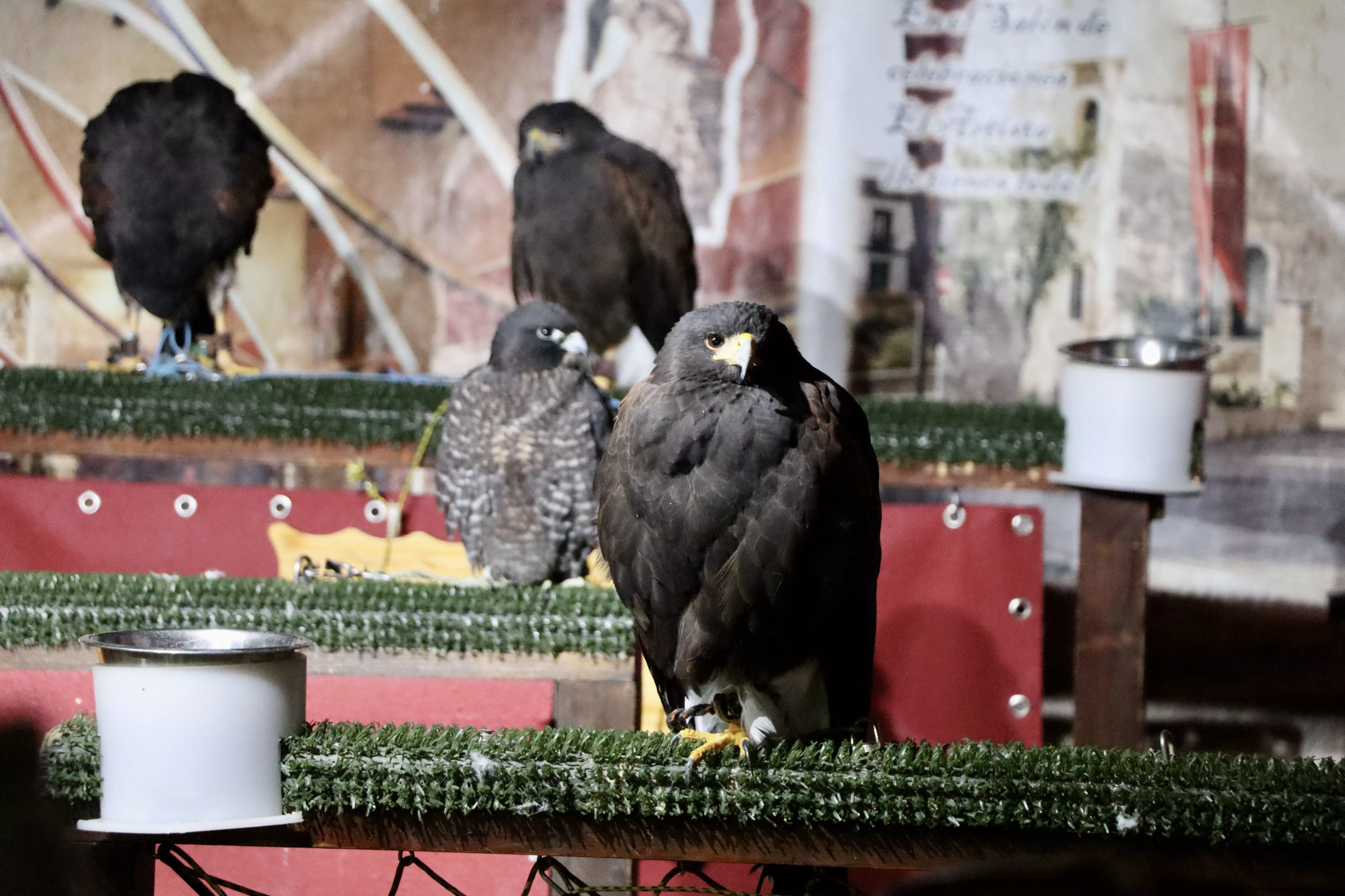 Mercado Medieval en Lucena 2024