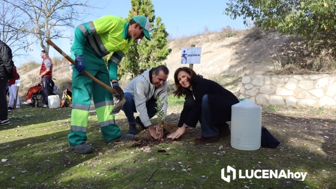 Plantación de uno de los árboles que componen el 'Bosque de las mil ramas'