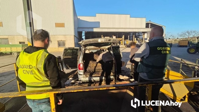 La aceituna robada recuperada por la Guardia Civil ha sido depositada en almazaras de la zona