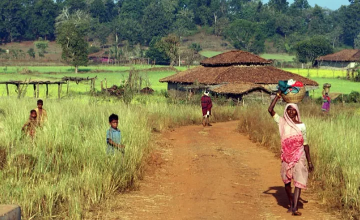 El proyecto busca ayudar al desarrollo socioeconómico de un grupo de aldeas tribales en la región de Chhattisgarh (India)