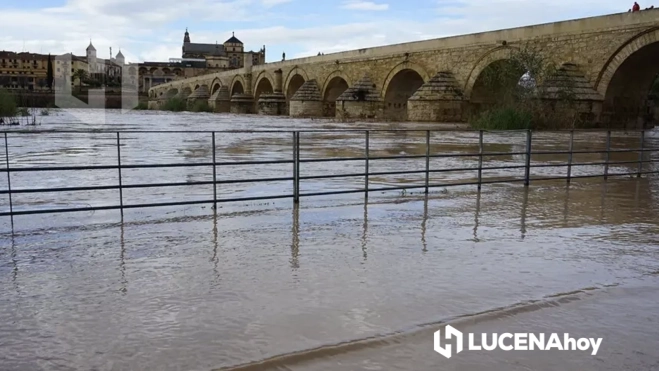 El Guadalquivir a su paso por el puente romano de Córdoba esta tarde. Foto: CórdobaHoy