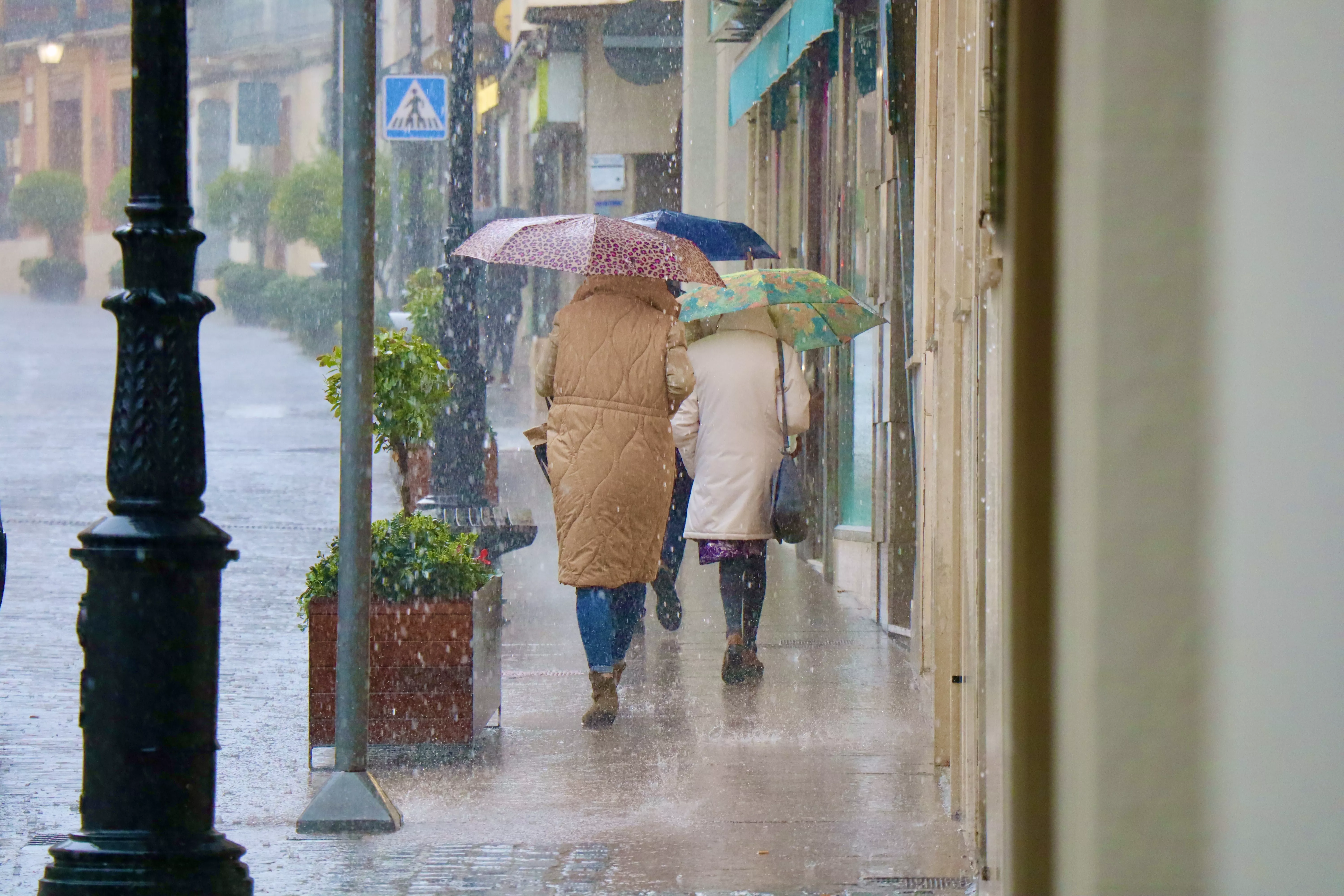 Las lluvias nos acompañan desde hace más de una semana y dejan ya 170 litros por metro cuadrado en marzo