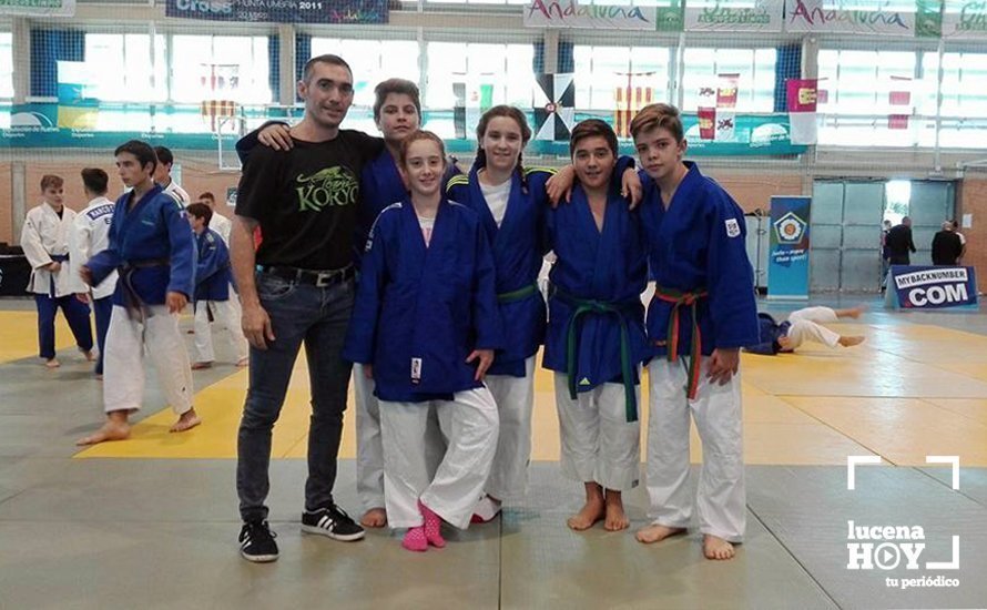 plantillalucenahooy2017koryojudo2016