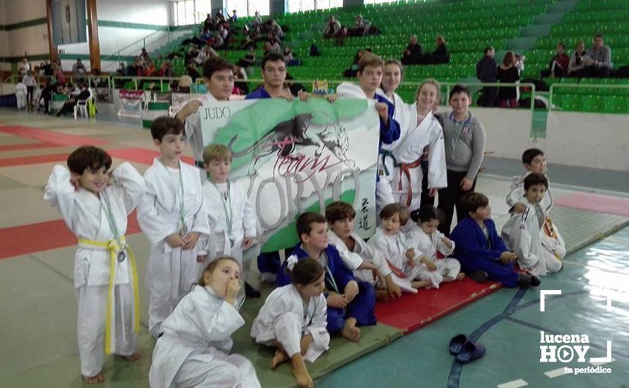 plantillalucenahoy2017judokoryo2911