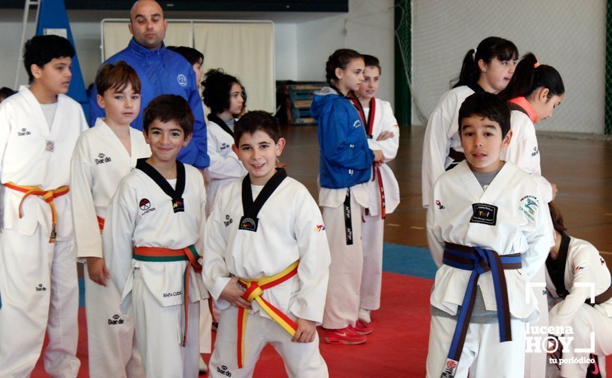 plantillalucenahoytaekwondo1