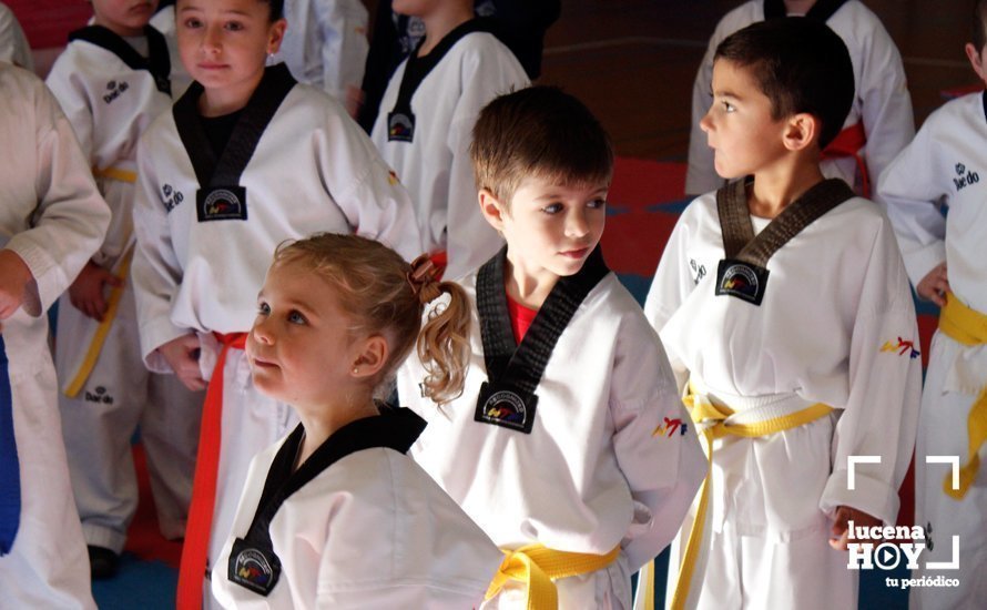 plantillalucenahoytaekwondo3