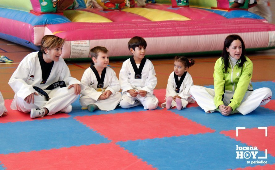 plantillalucenahoytaekwondo7