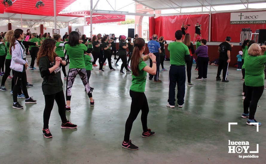 plantillalucenahoy2017ZUMBA2